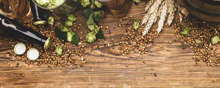 tabletop with grains and beer