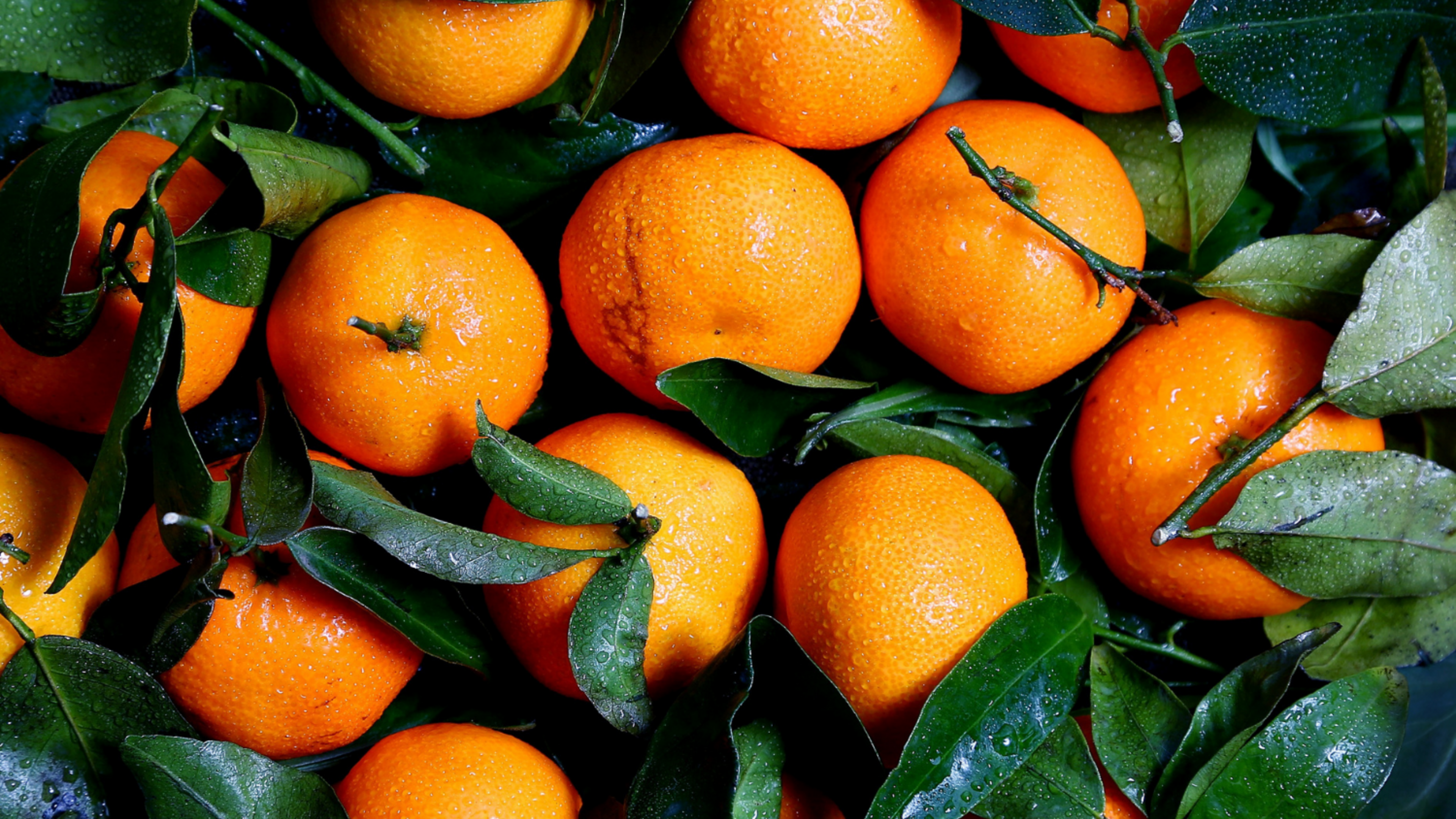 oranges with leaves
