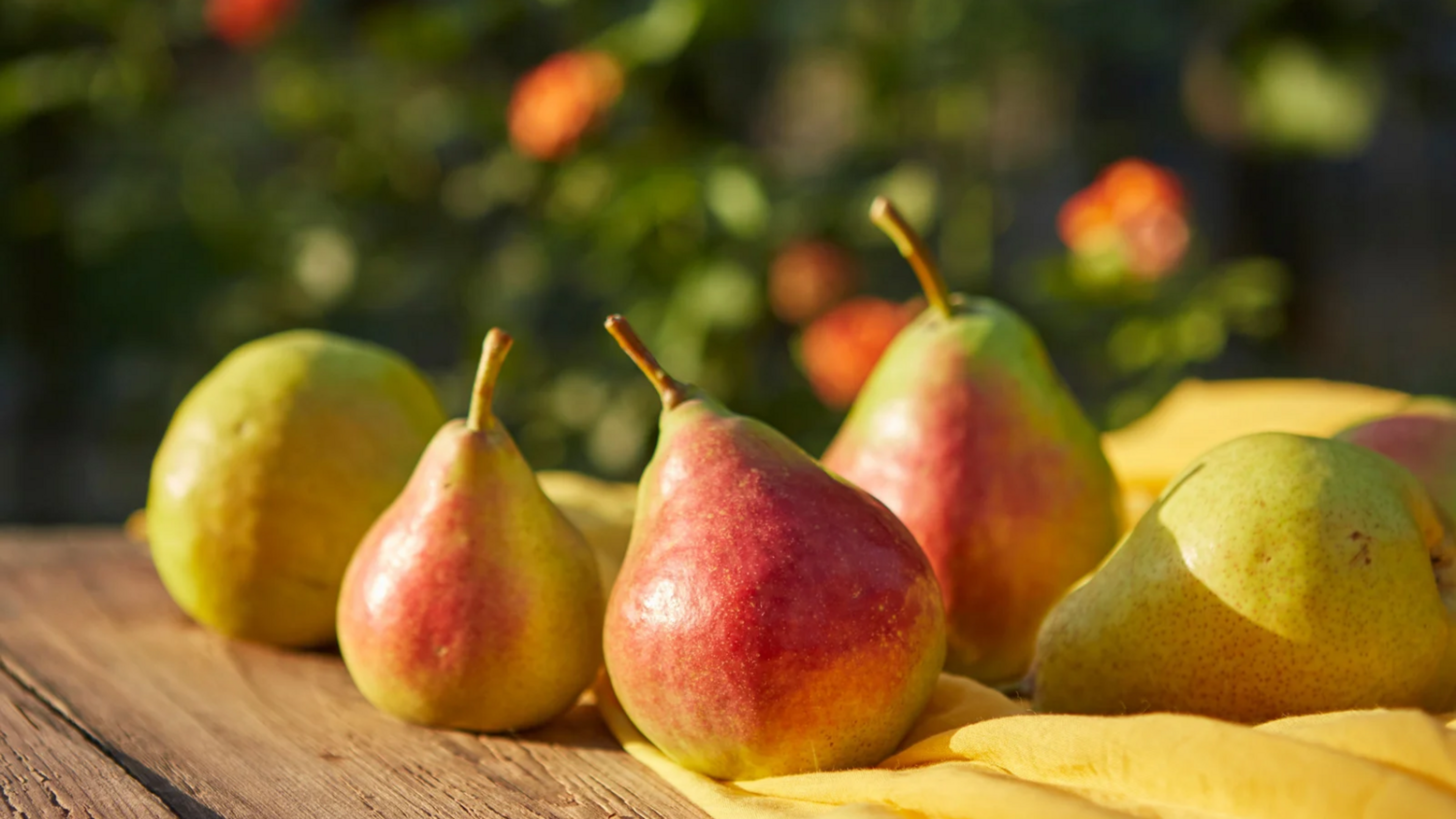 pears on a table outside