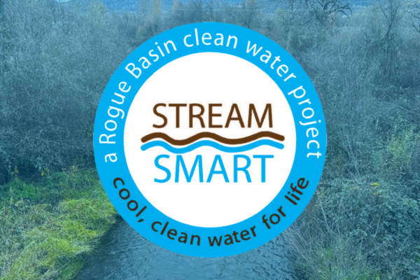 Stream Smart