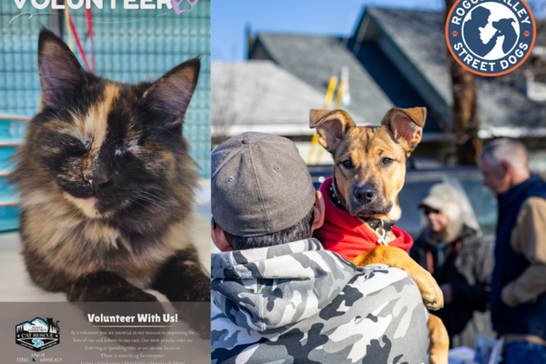 Rogue Community Cat Rescue and Rogue Valley Street Dogs