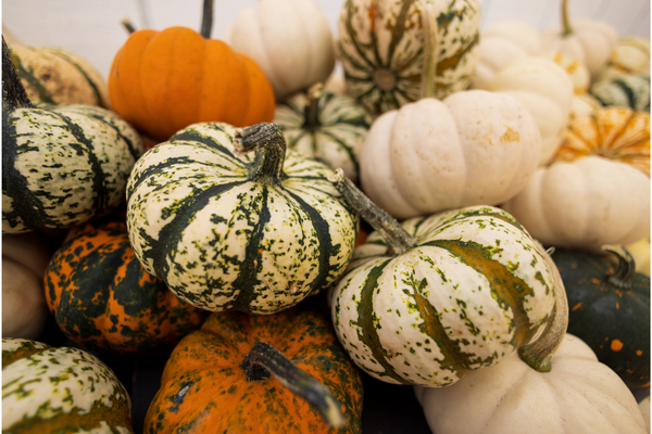 various types of gourds in a pile
