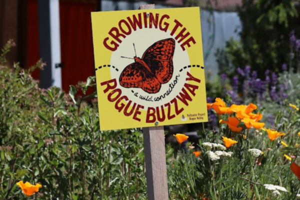 sign with a butterfly that says "growing the rogue buzzway"