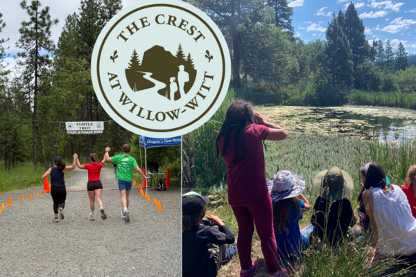Crest at Willow Witt