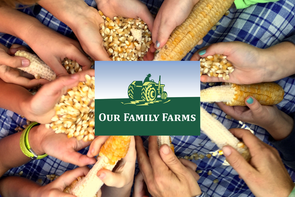 Blog header featuring hands holding stalks and kernels of corn in a circle. The Our Family Farms logo shows in the center. 