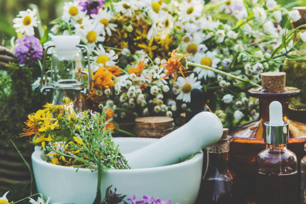 rustic tablescape of tinctures herbs flowers with a mortar and pestle