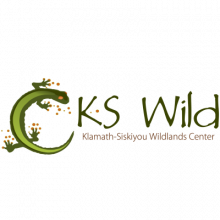 KS Wild logo. KS Wild in text, with a lizard curled around looking at the text.
