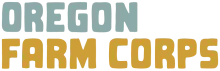 Organization name written in blocky blue and orange letters