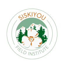Stacking drawings in a circular logo. Mountains, overlayed by tree outlines, further overlayed by a three petaled flower
