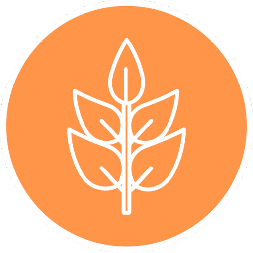 Outline drawing of sprouting plant