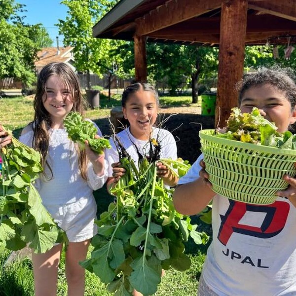 Rogue Valley Farm to School