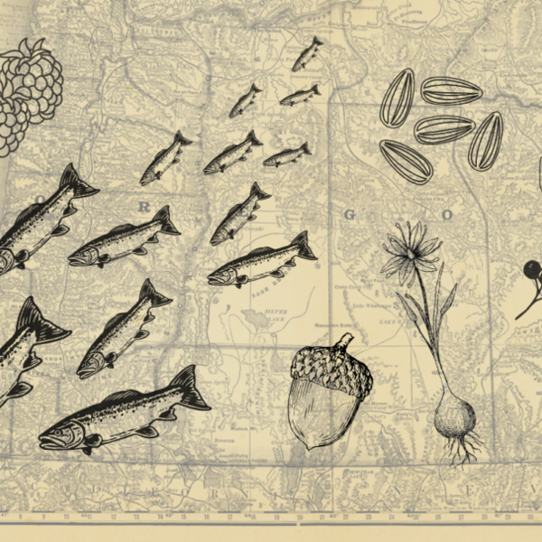 Indigenous Map
