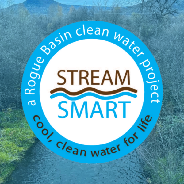 Stream Smart