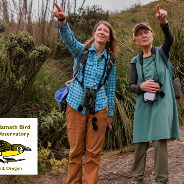 Klamath Bird Observatory