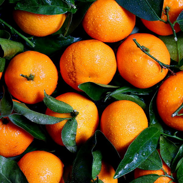 oranges with leaves