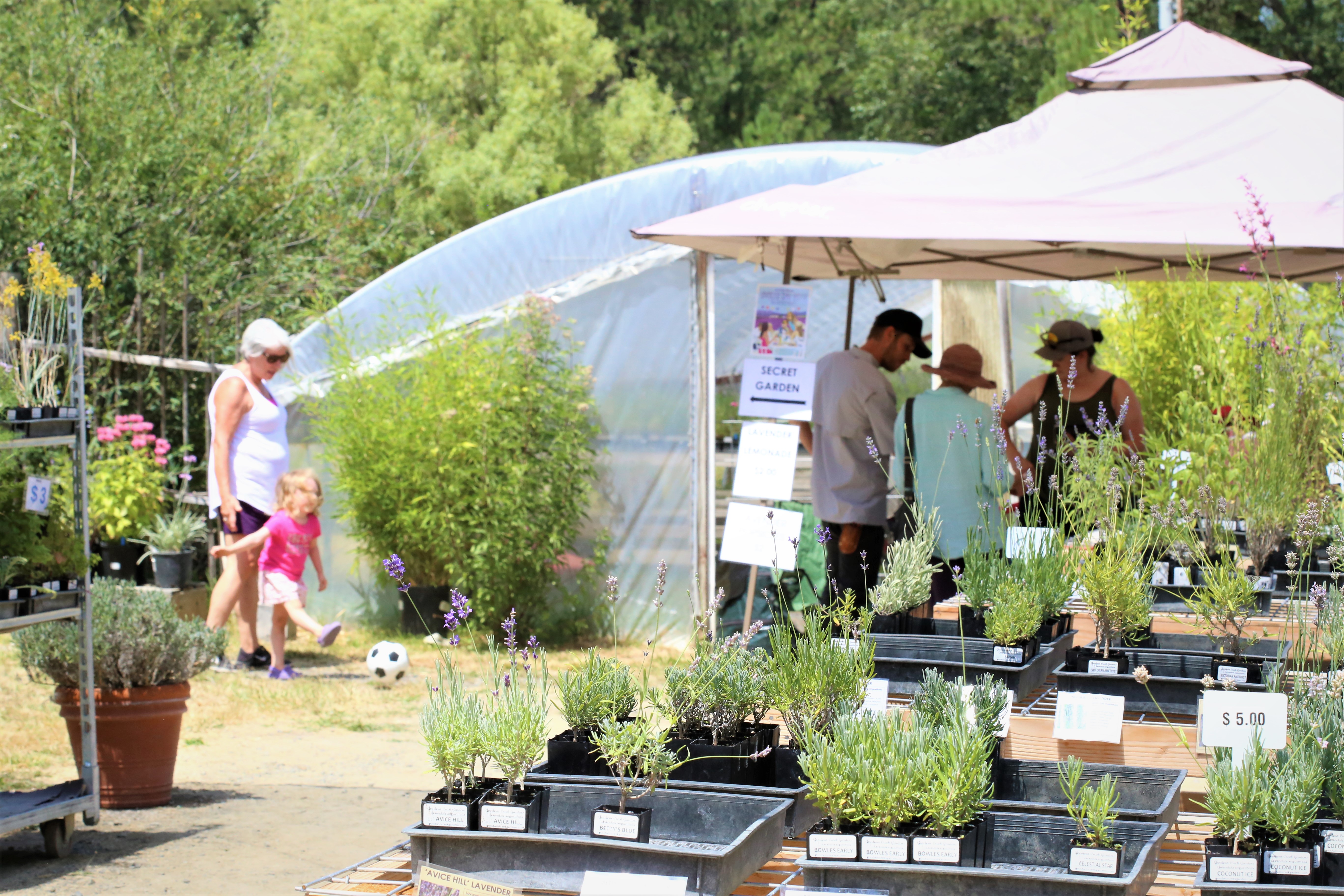 Visitors of all ages enjoying Goodwin Creek Gardens