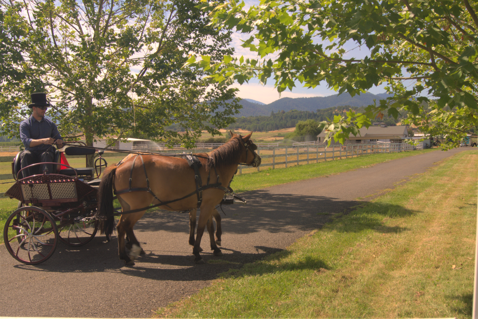 Horse-drawn carriage rides were one of many activities for visitors